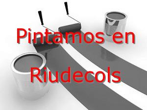 Pintor Tarragona Riudecols